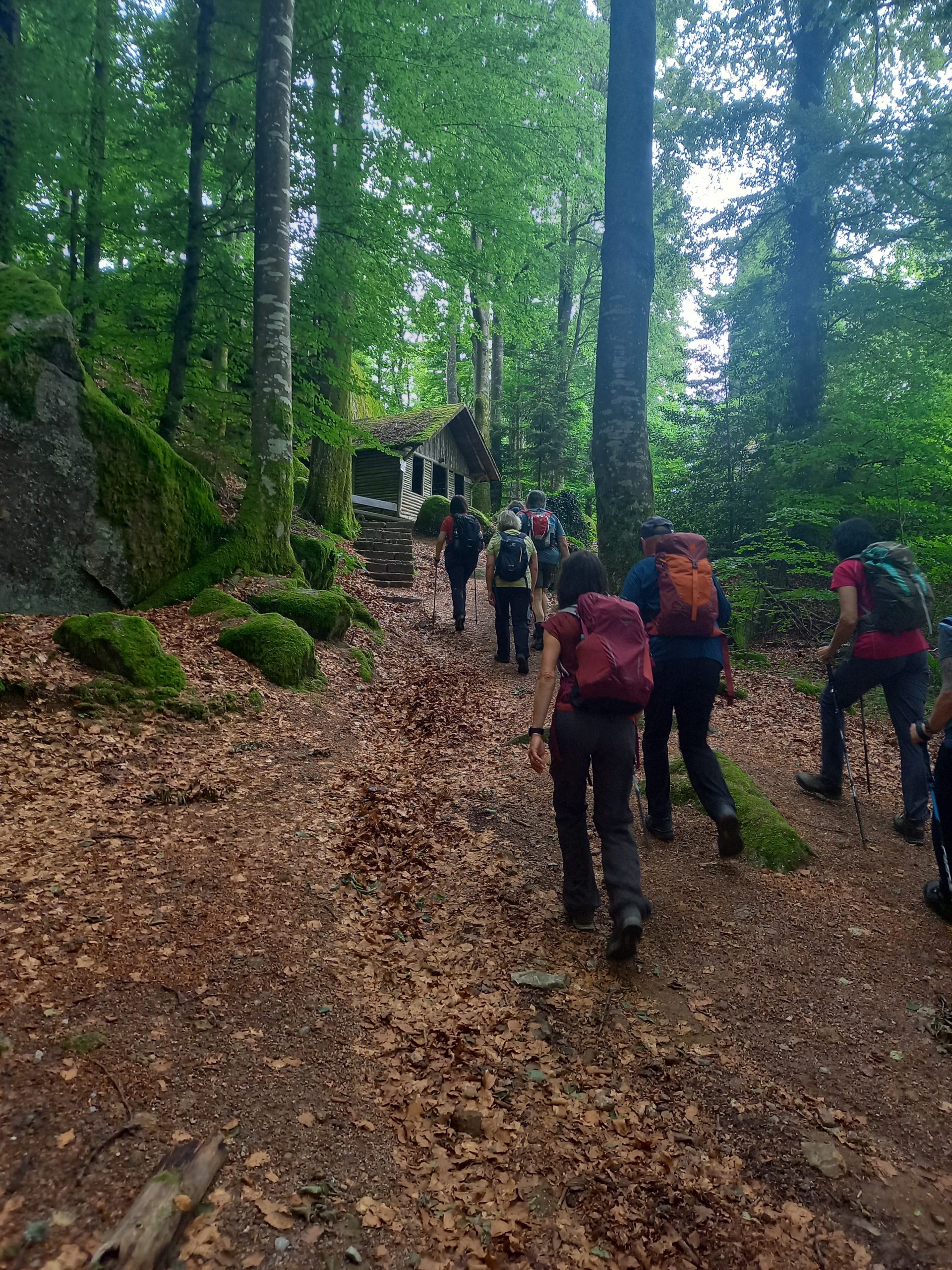 Fastenwandern Fastenwandern