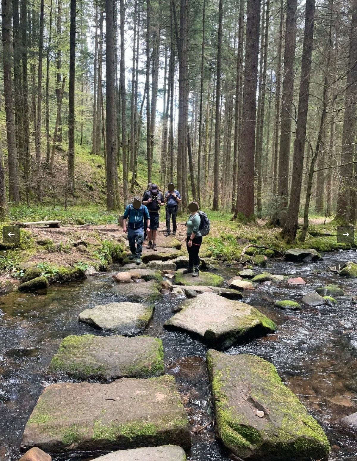 Fastenwandern Fastenwandern